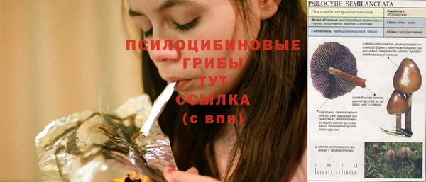 тгк Аркадак