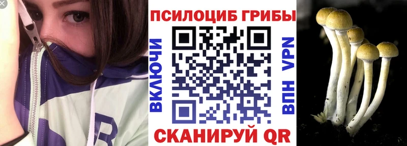 Галлюциногенные грибы мицелий  хочу   Дзержинск 