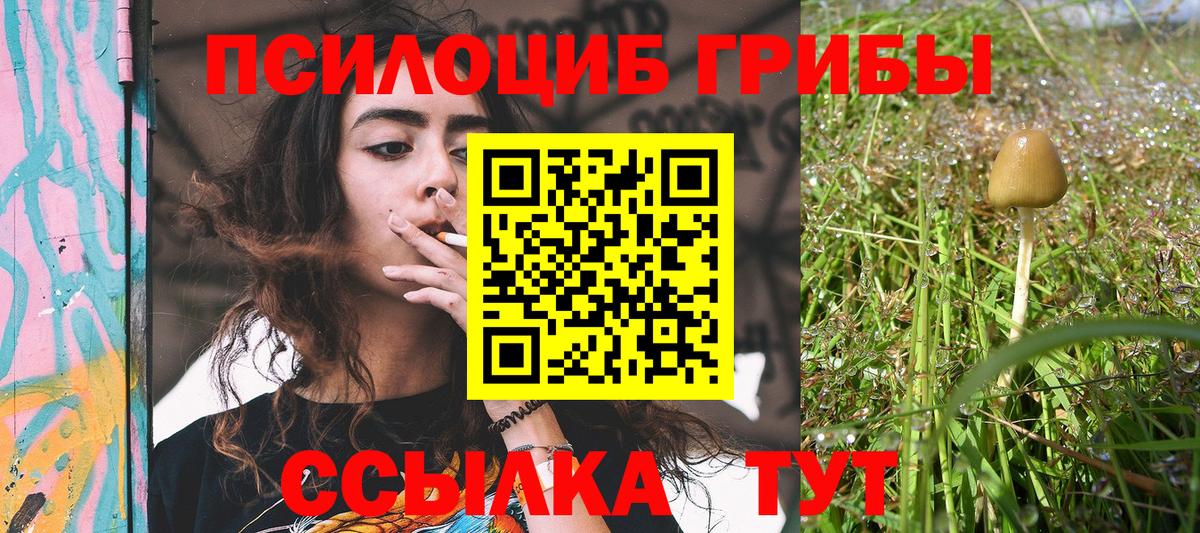 Псилоцибиновые грибы мицелий Дзержинск